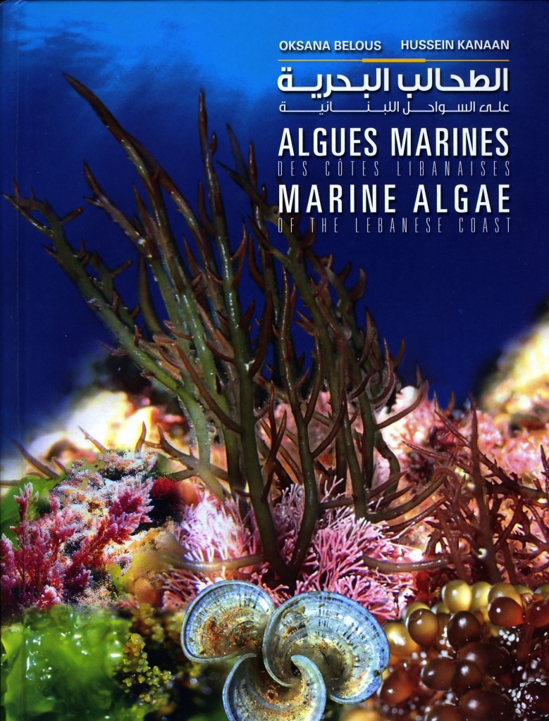 MARINE ALGAE.jpg